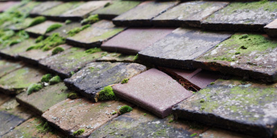 Trafford Park roof repair costs